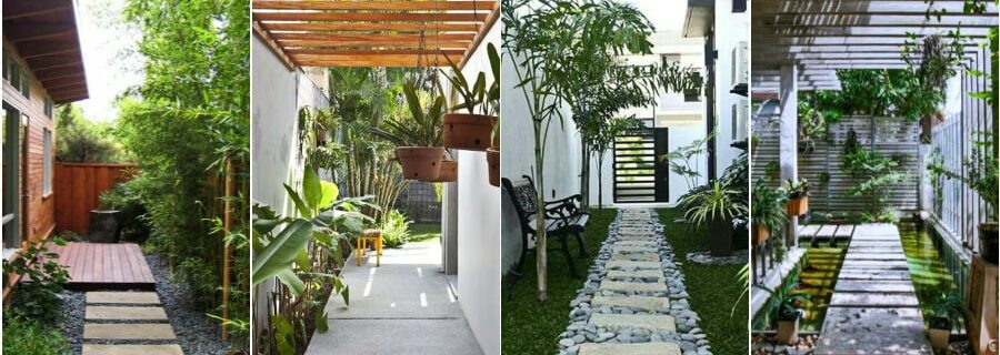 Tips for landscaping the house on a low budget